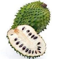 SOURSOP - 1
